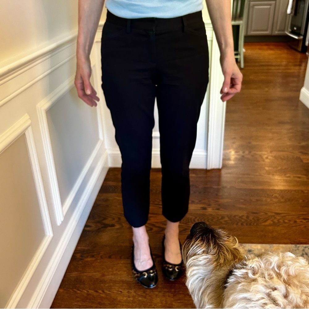 Theory Pants (Chino Style) in Black